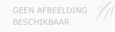 Afbeelding › Rijschool City